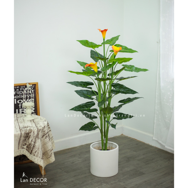 cay-hoa-rum-landecor