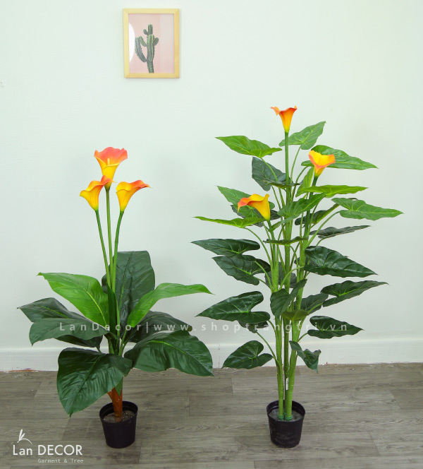 cay-hoa-rum-landecor