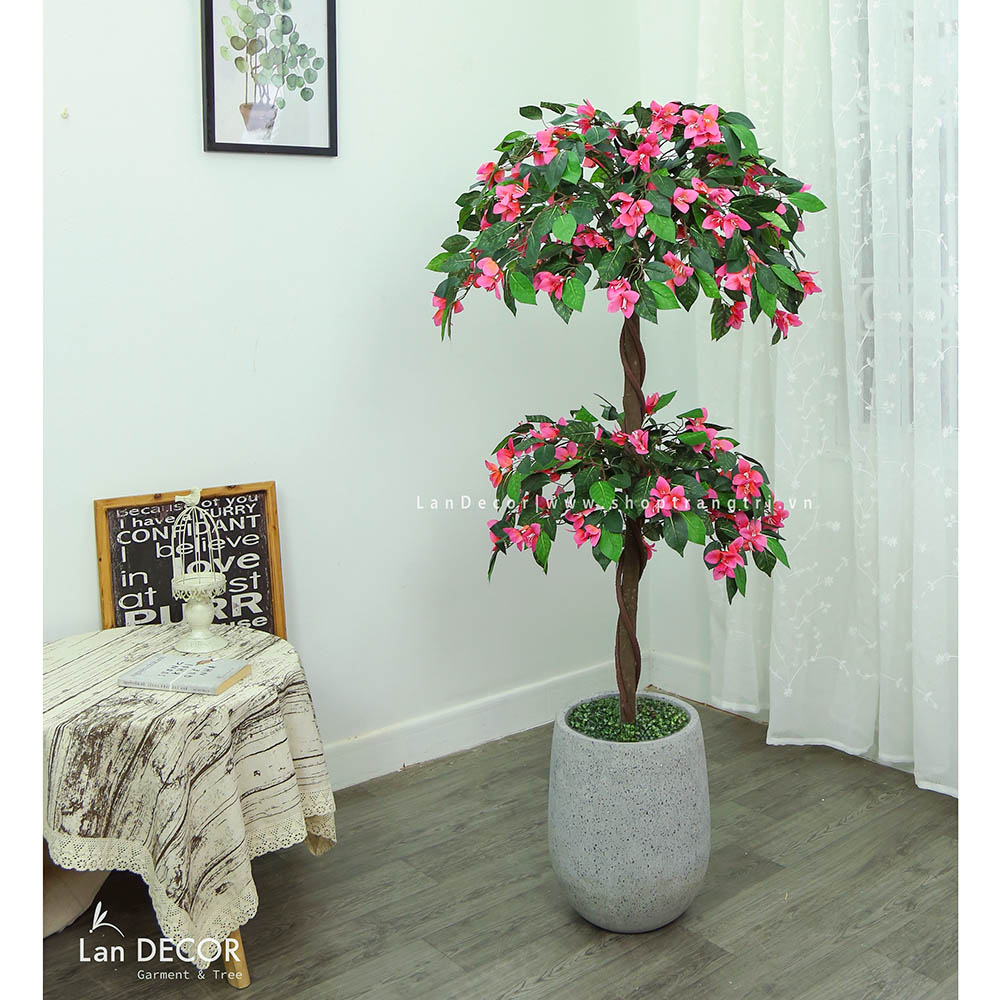 cay-hoa-do-quyen-landecor