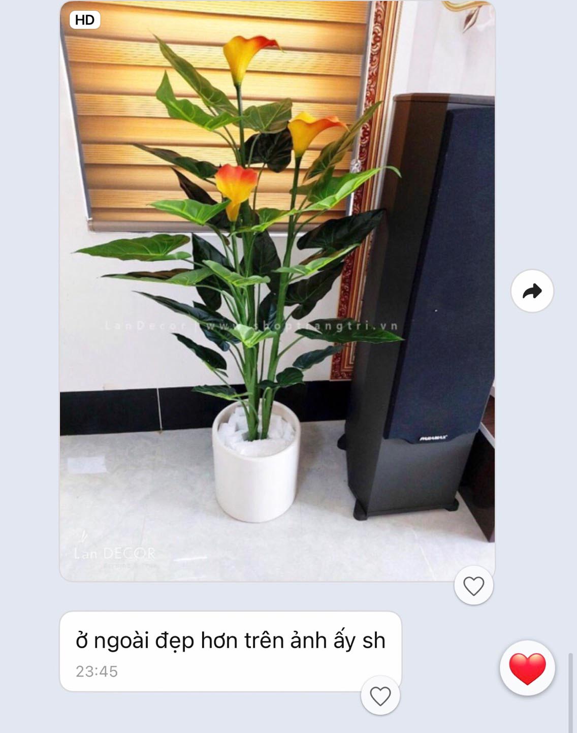 cay-hoa-rum-landecor