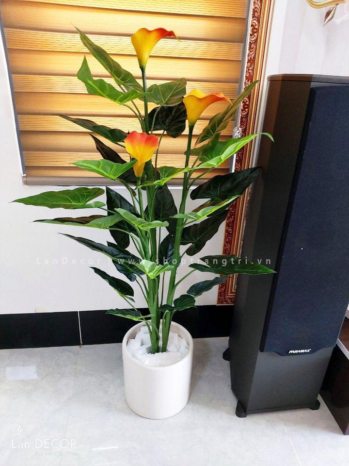 cay-hoa-rum-landecor