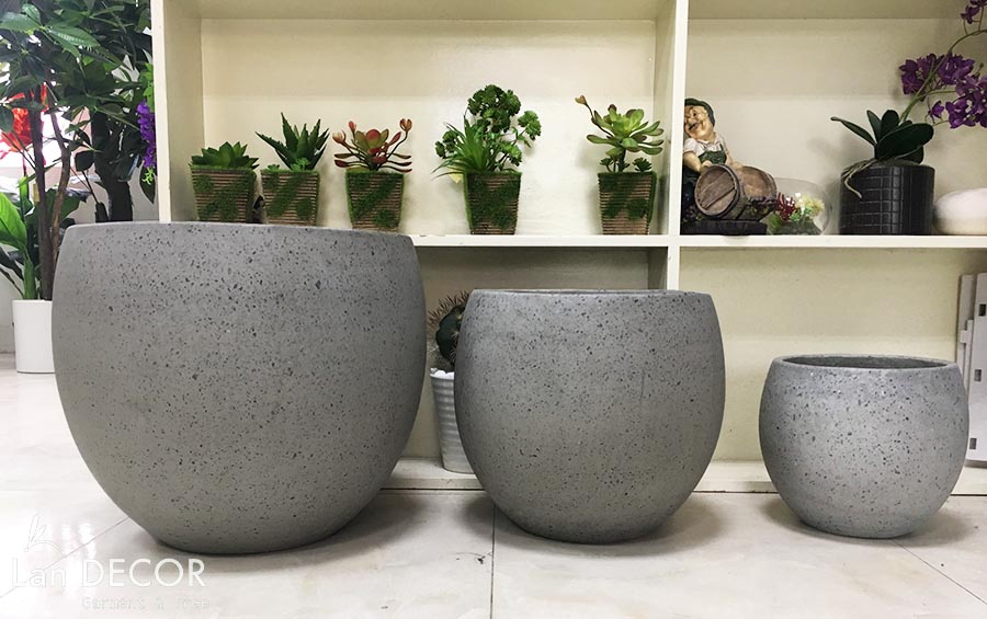 chau-xi-mang-trong-cay