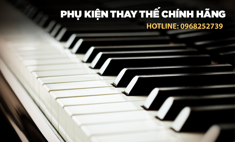GrandPIANO Hà Nội