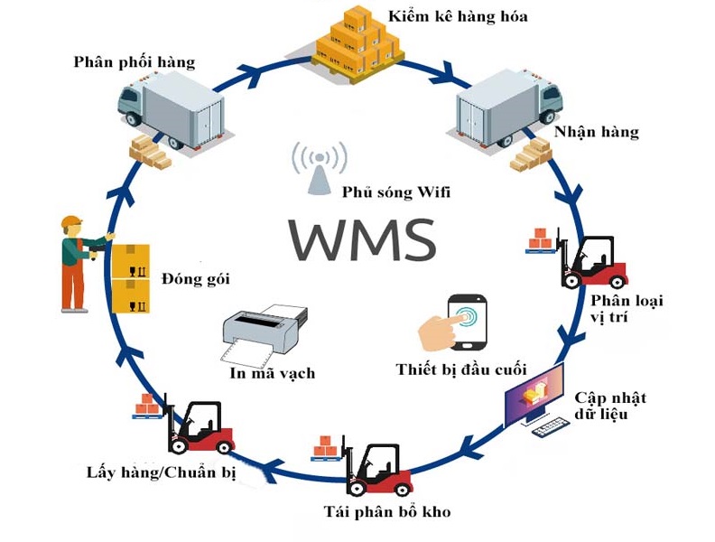 Giải pháp quản lý kho hàng hiệu quả trong Logistics