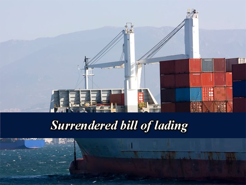Surrendered Bill of lading là một vận đơn khá quan trọng và đặc biệt