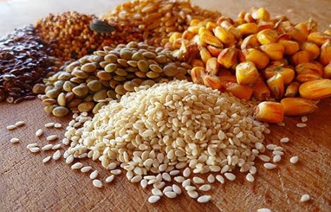 Điều kiện đối với các sản phẩm nhập khẩu thức ăn chăn nuôi