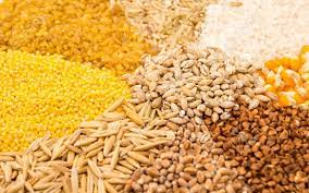 Thức ăn chăn nuôi bao gồm những thành phần như thế nào?