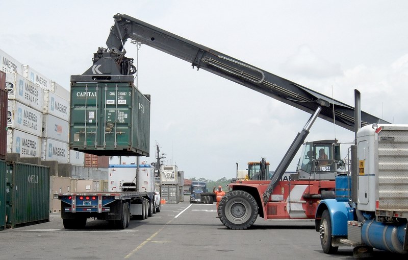 Nội dung chính của phiếu VGM
