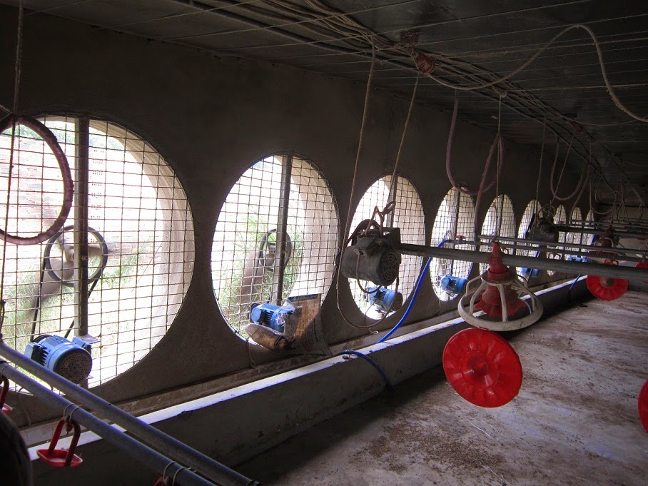 Hệ thống thông gió trang trại chăn nuôi