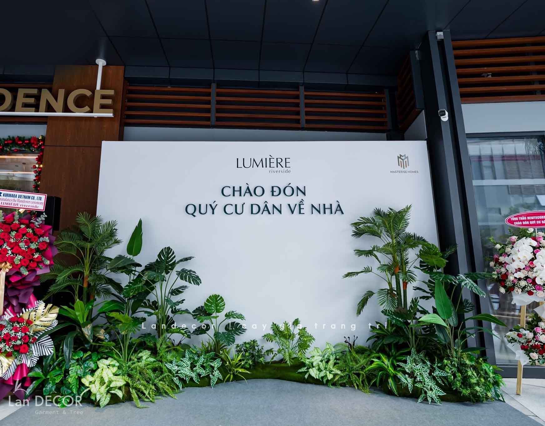 bồn-cây-tiểu-cảnh