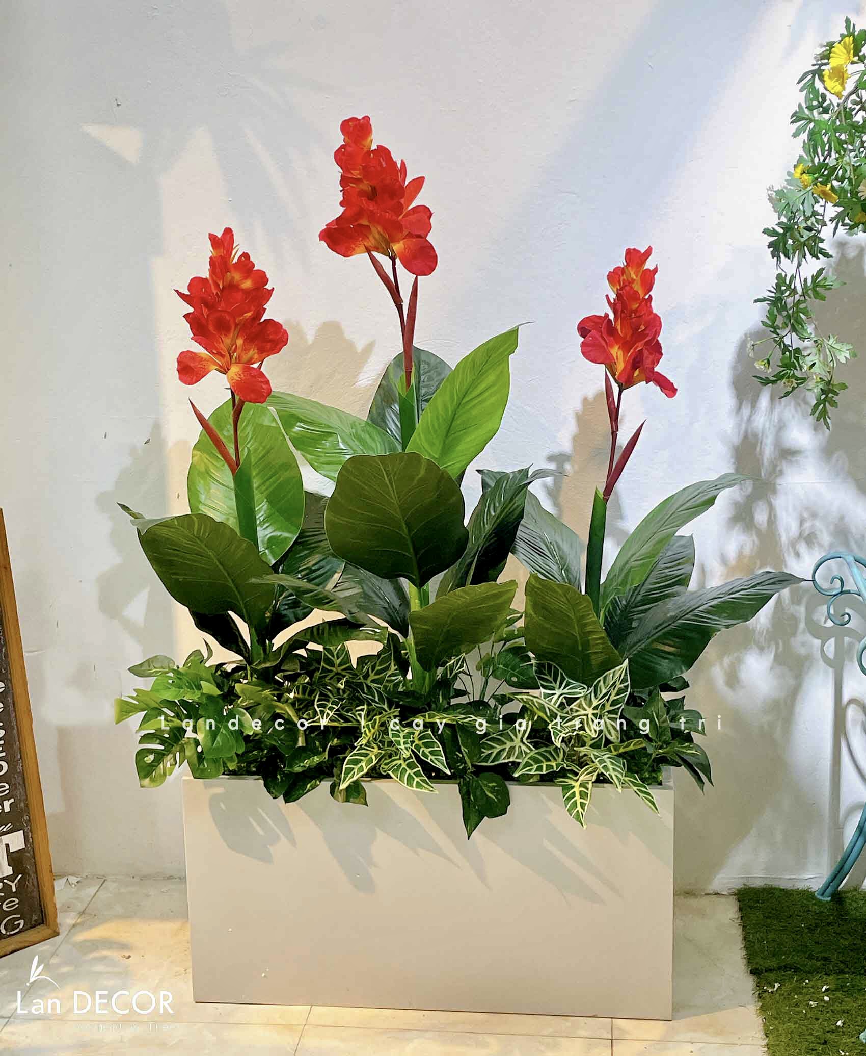 bồn-cây-phát-lộc