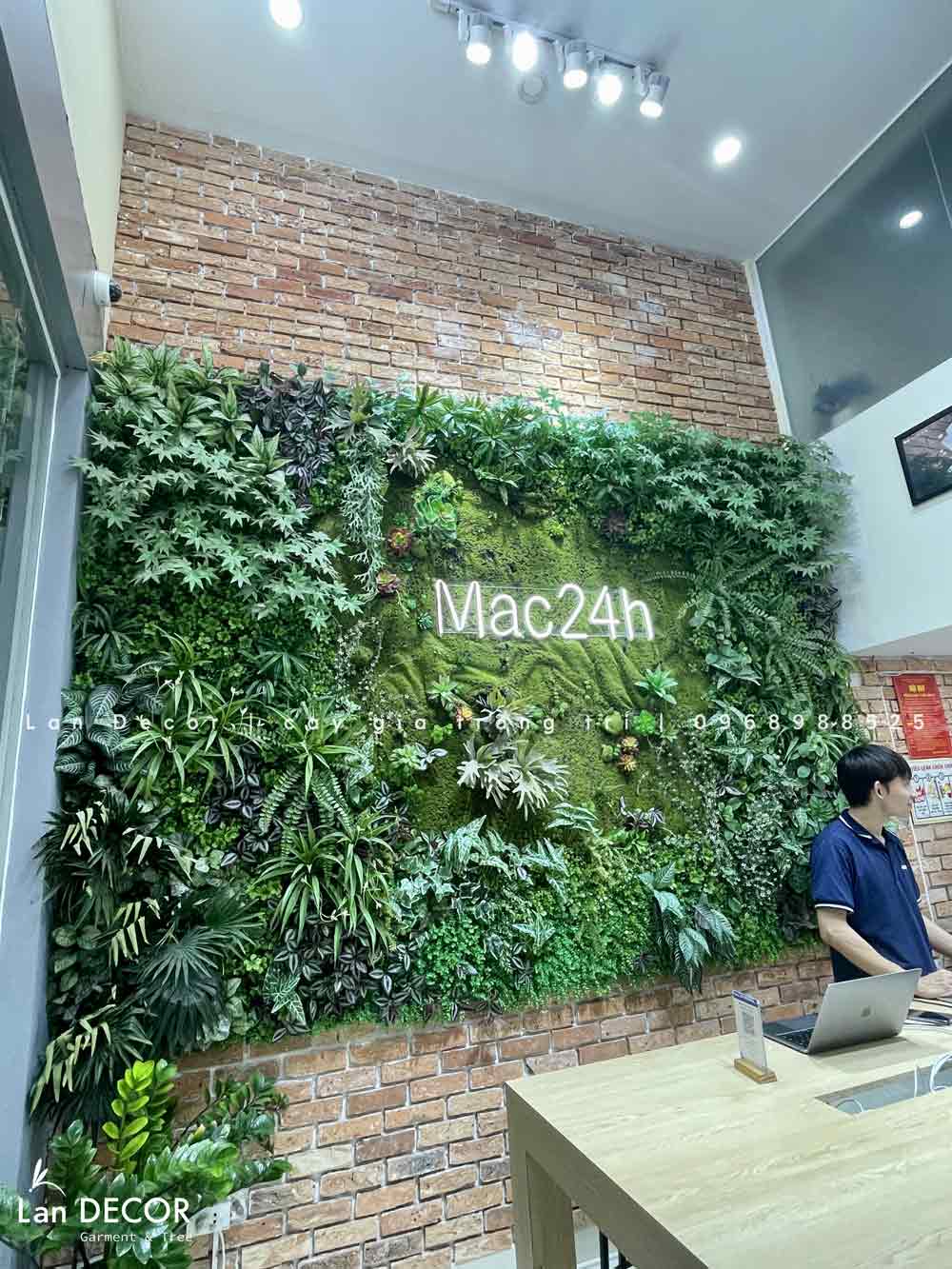 tường-rêu-trang-trí