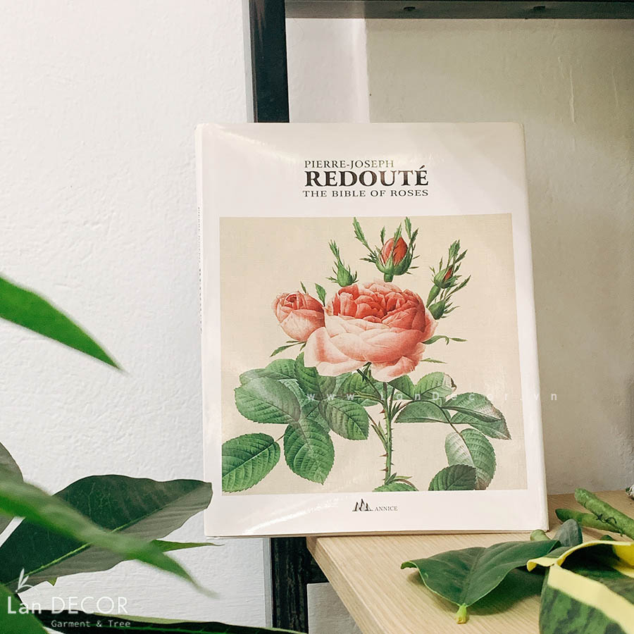 sach-decor