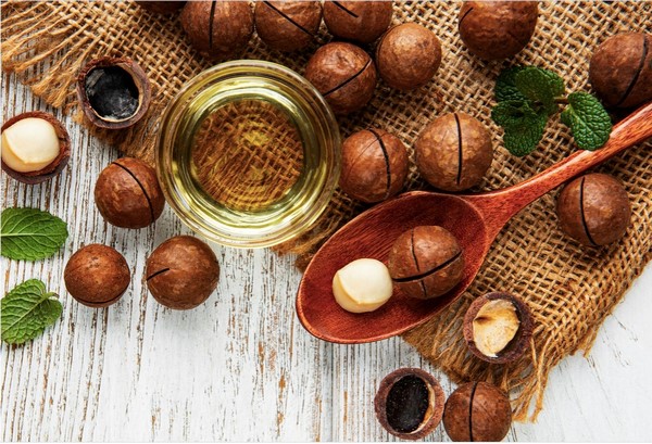 dầu macca Đức 2