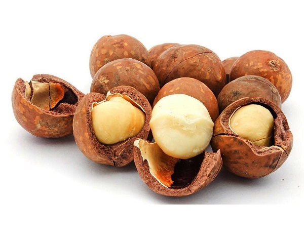 lợi ích hạt macca 4