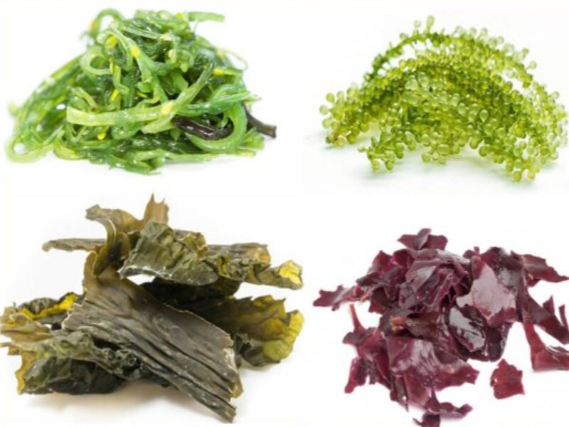 thực phẩm giàu omega 3