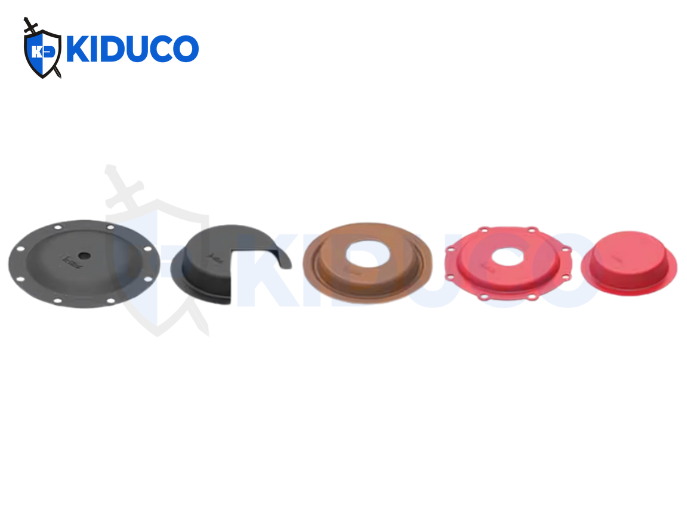 Dished Diaphragm (Màng cao su dạng đĩa)