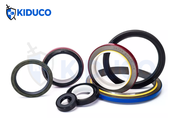 PTFE Lip Seal