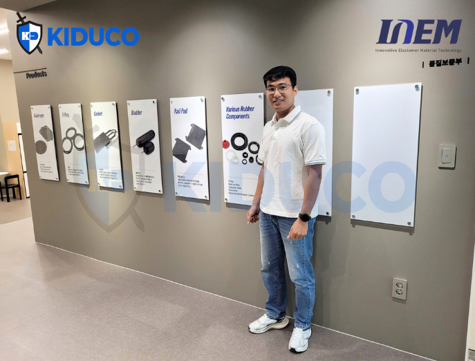 Giới thiệu về INEM