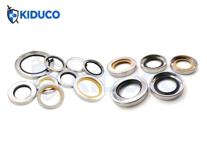 Thiết kế PTFE Lip Seal