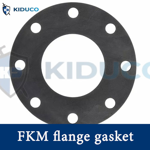 Gioăng cao su viton FKM
