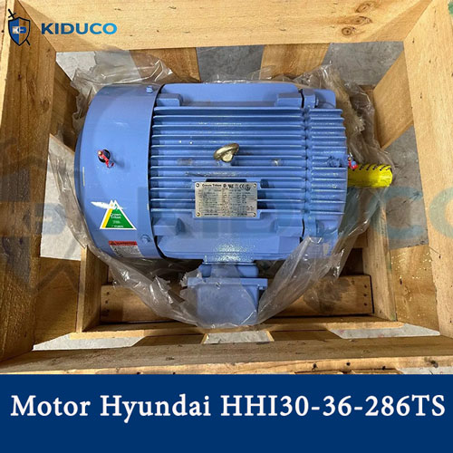 Động cơ điện 3 pha 2 cực 30HP Hyundai HHI30-36-286TS