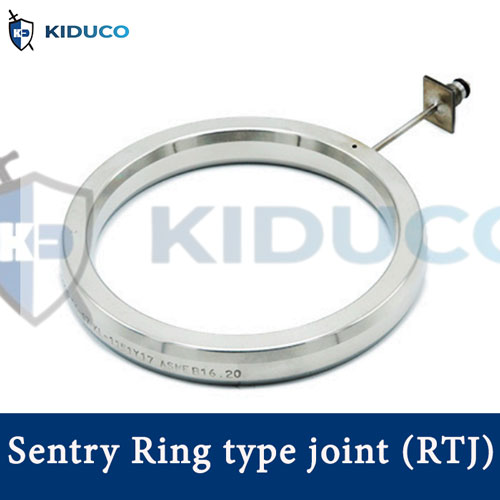 Klinger Sentry RTJ gasket