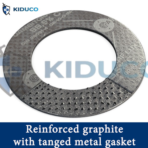 Gioăng graphite gia cường