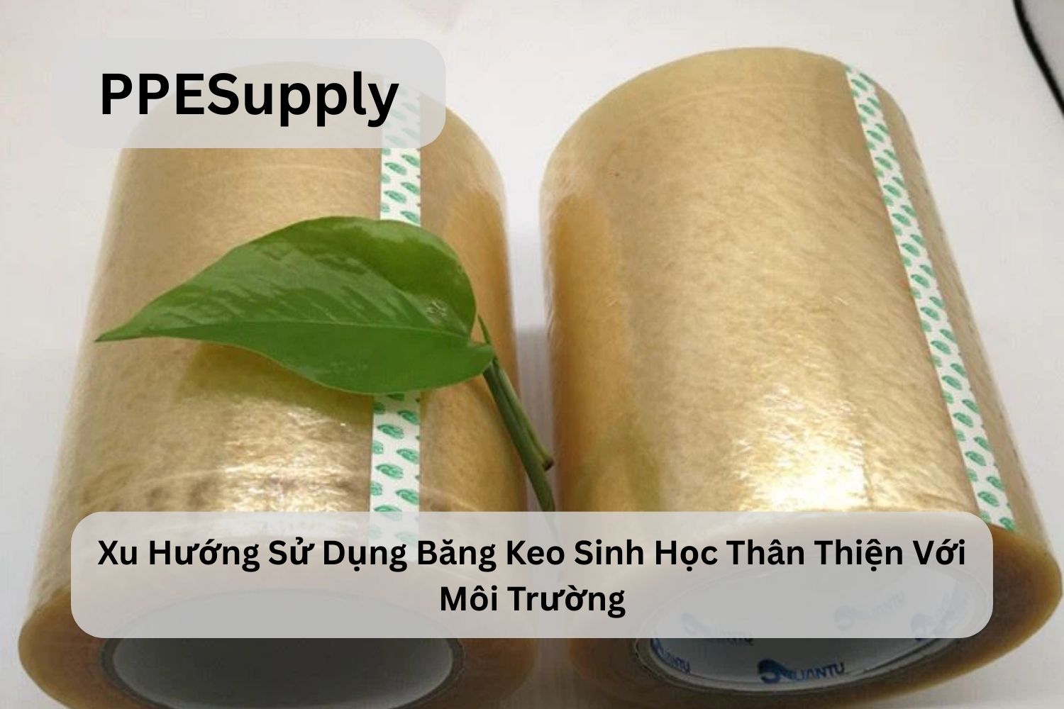 Xu Hướng Sử Dụng Băng Keo Phân Hủy Sinh Học Thân Thiện Với Môi