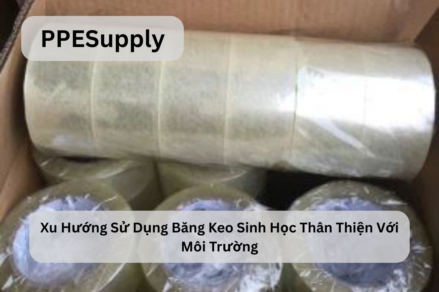 Xu Hướng Sử Dụng Băng Keo Phân Hủy Sinh Học Thân Thiện Với Môi