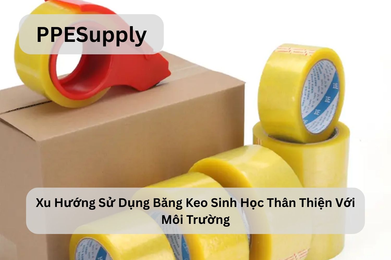 Xu Hướng Sử Dụng Băng Keo Phân Hủy Sinh Học Thân Thiện Với Môi