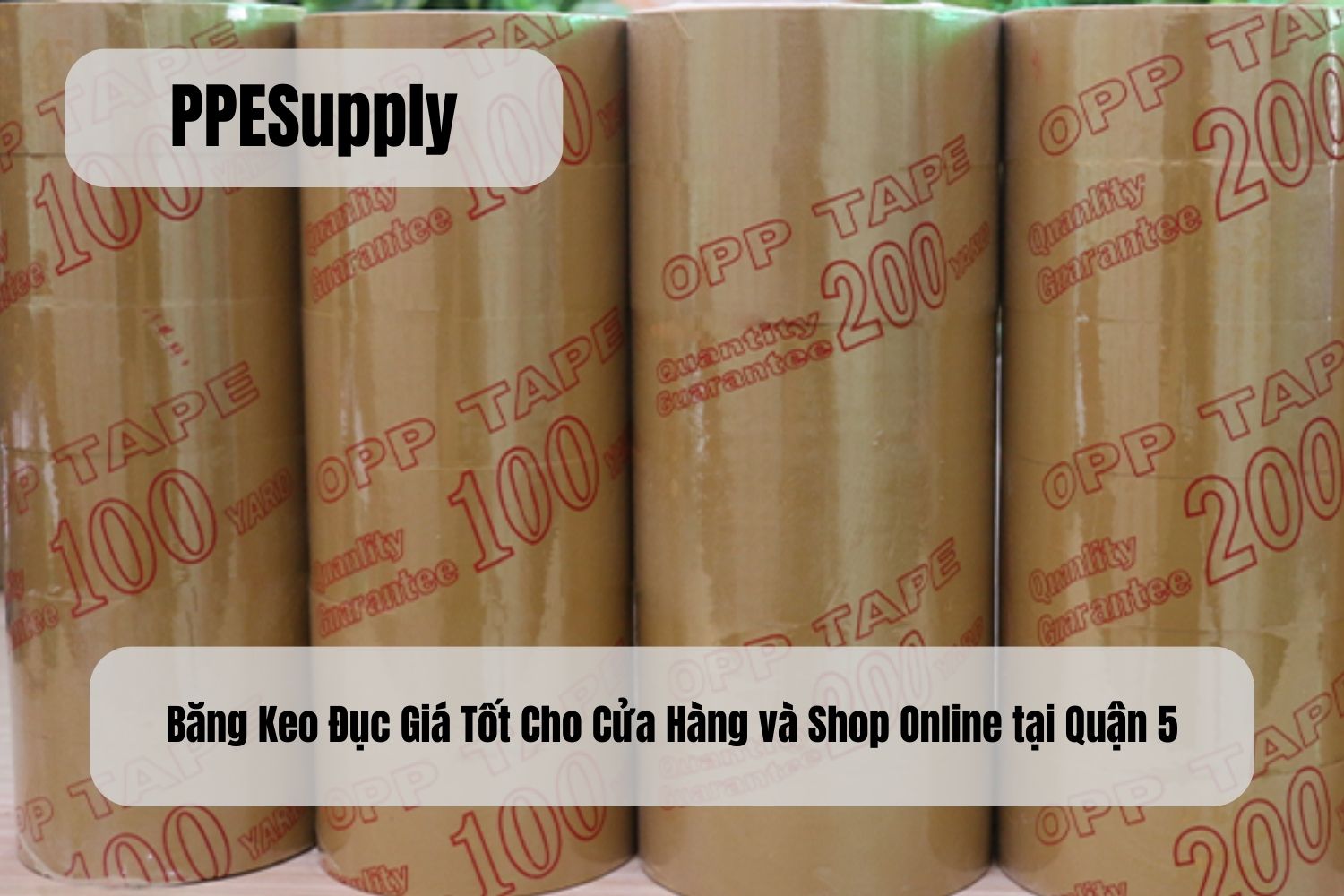 Băng Keo Đục Giá Tốt Cho Cửa Hàng và Shop Online tại Quận 5