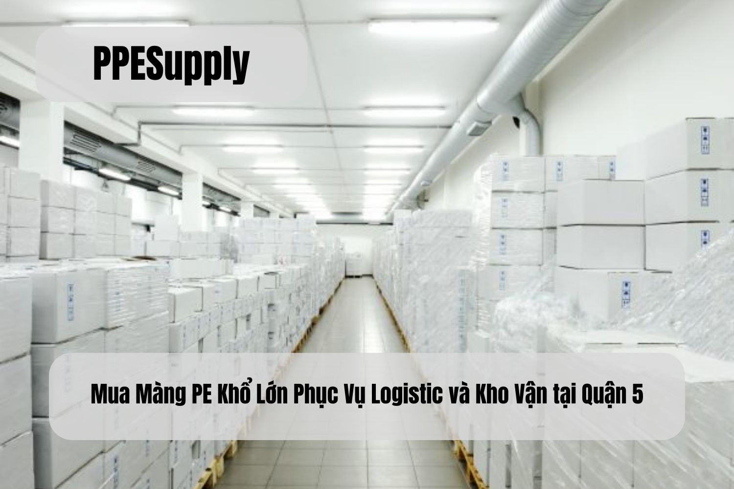 Mua Màng PE Khổ Lớn Phục Vụ Logistic và Kho Vận tại Quận 5