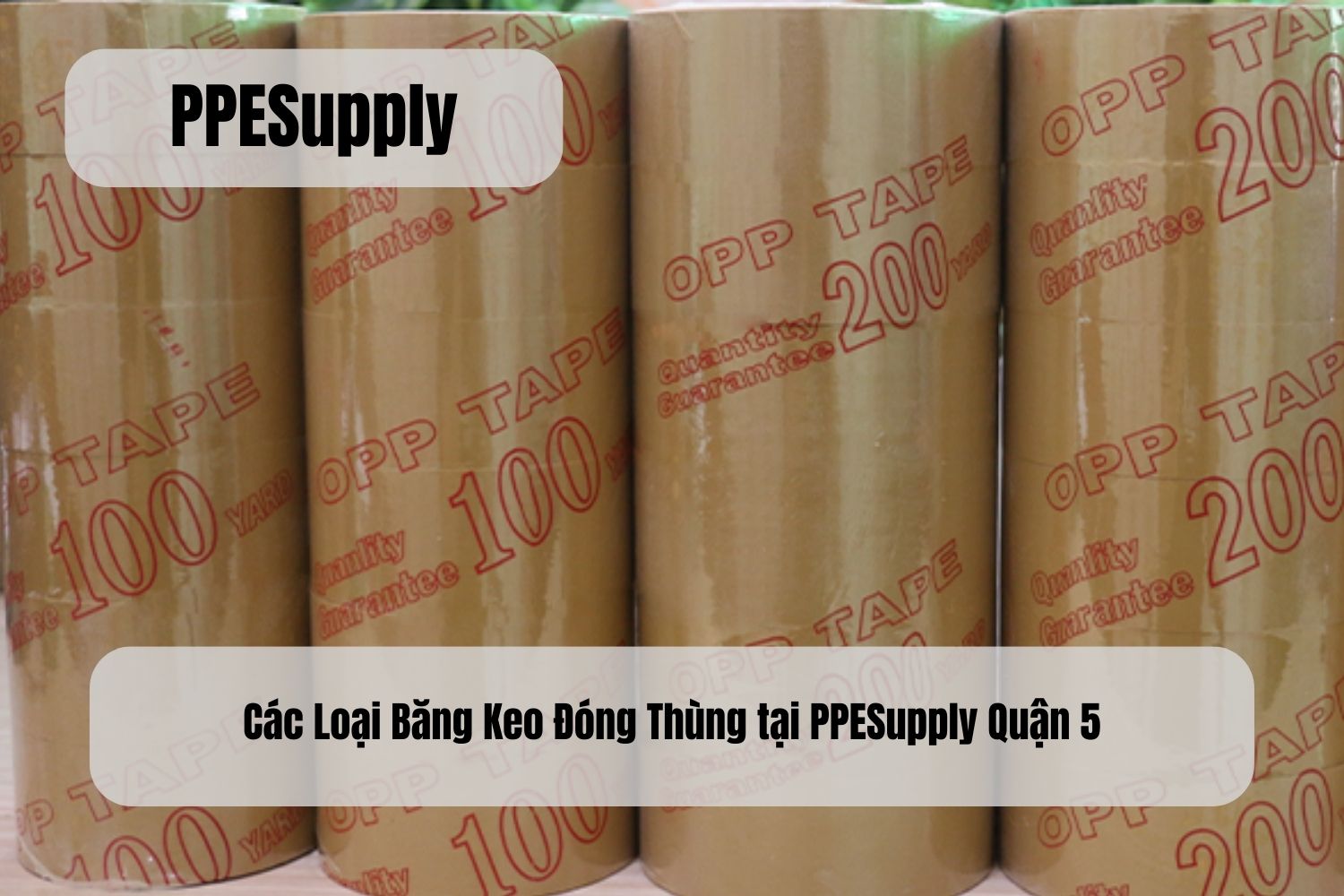 Các Loại Băng Keo Đóng Thùng tại PPESupply Quận 5