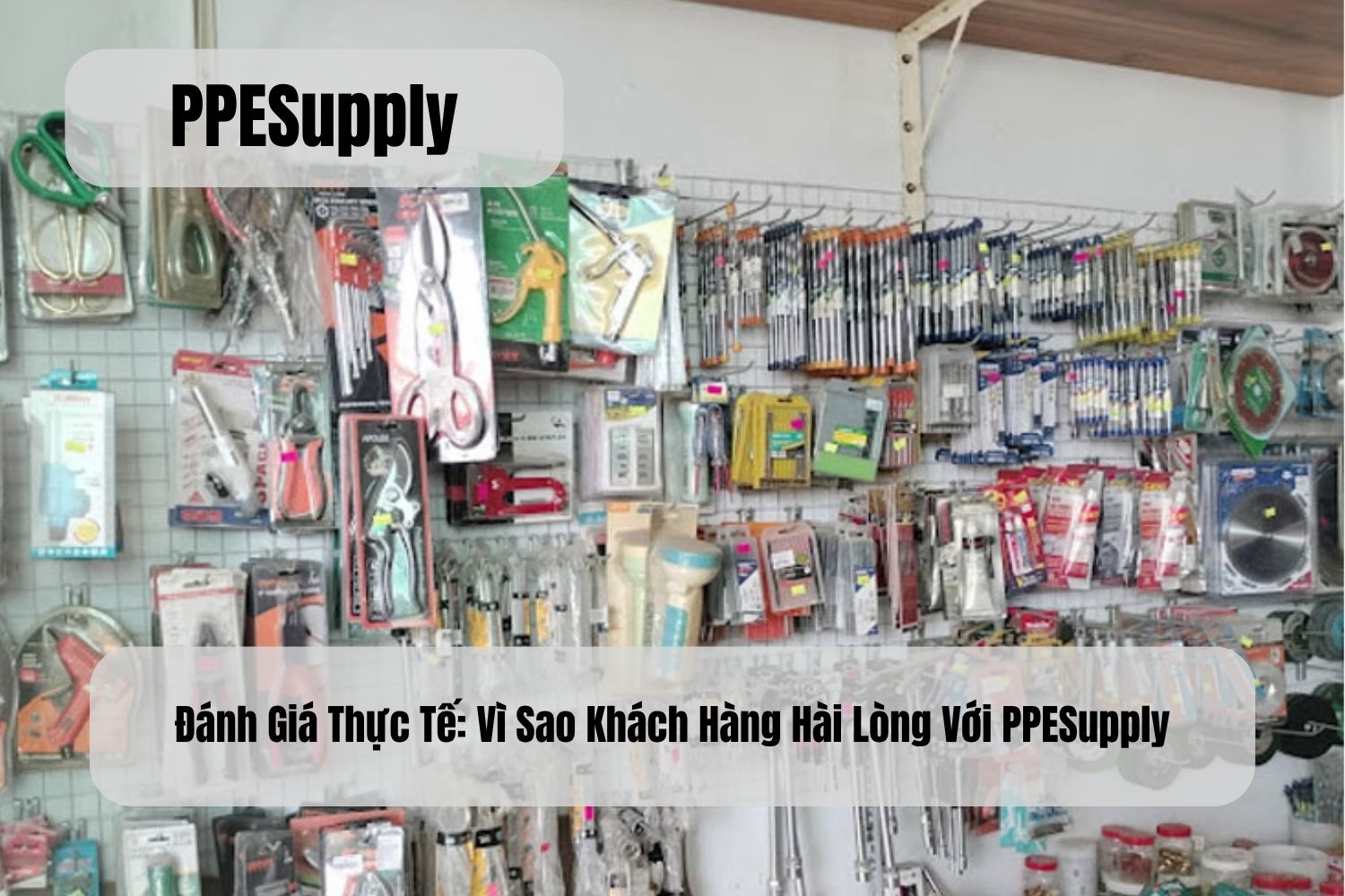 Đánh Giá Thực Tế: Vì Sao Khách Hàng Hài Lòng Với PPESupply