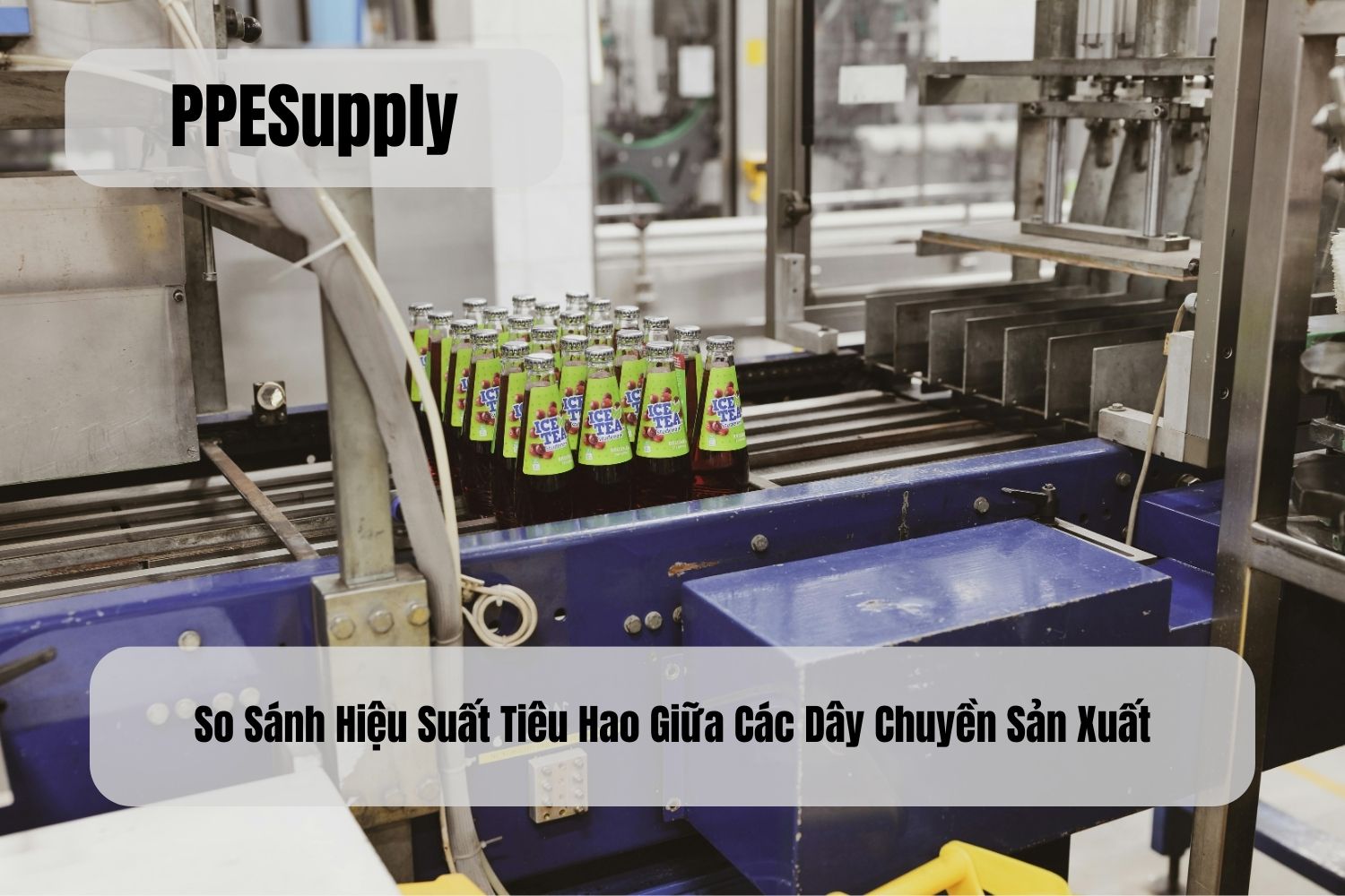 So Sánh Hiệu Suất Tiêu Hao Giữa Các Dây Chuyền Sản Xuất