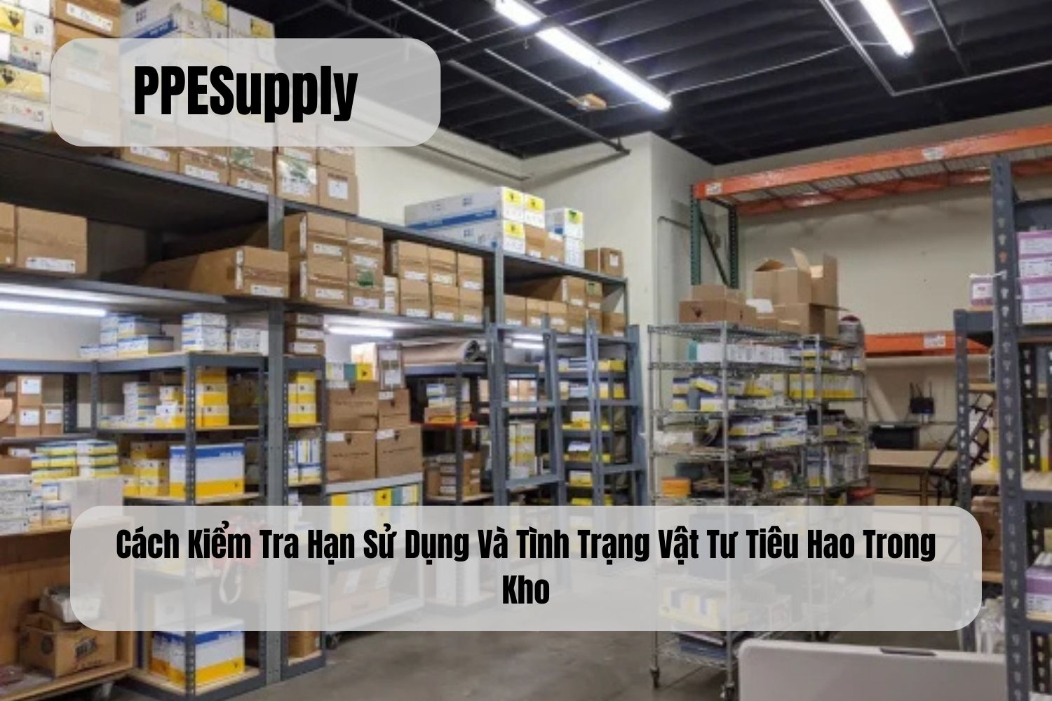 Cách Kiểm Tra Hạn Sử Dụng Và Tình Trạng Vật Tư Tiêu Hao Trong Kho