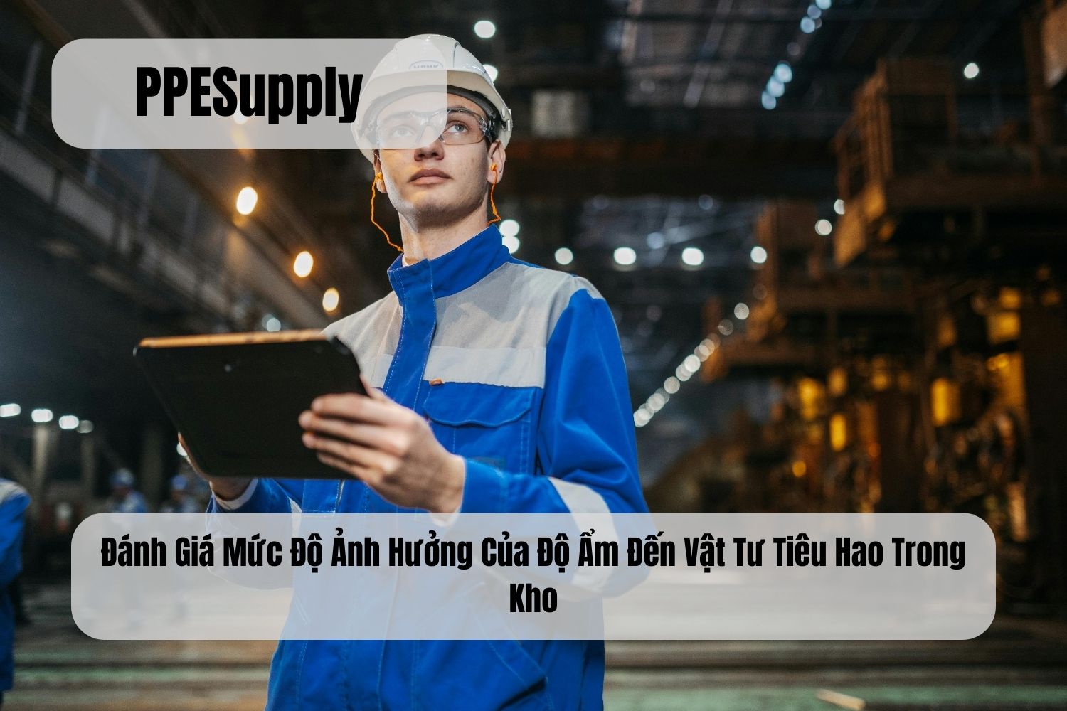 Đánh Giá Mức Độ Ảnh Hưởng Của Độ Ẩm Đến Vật Tư Tiêu Hao Trong Kho