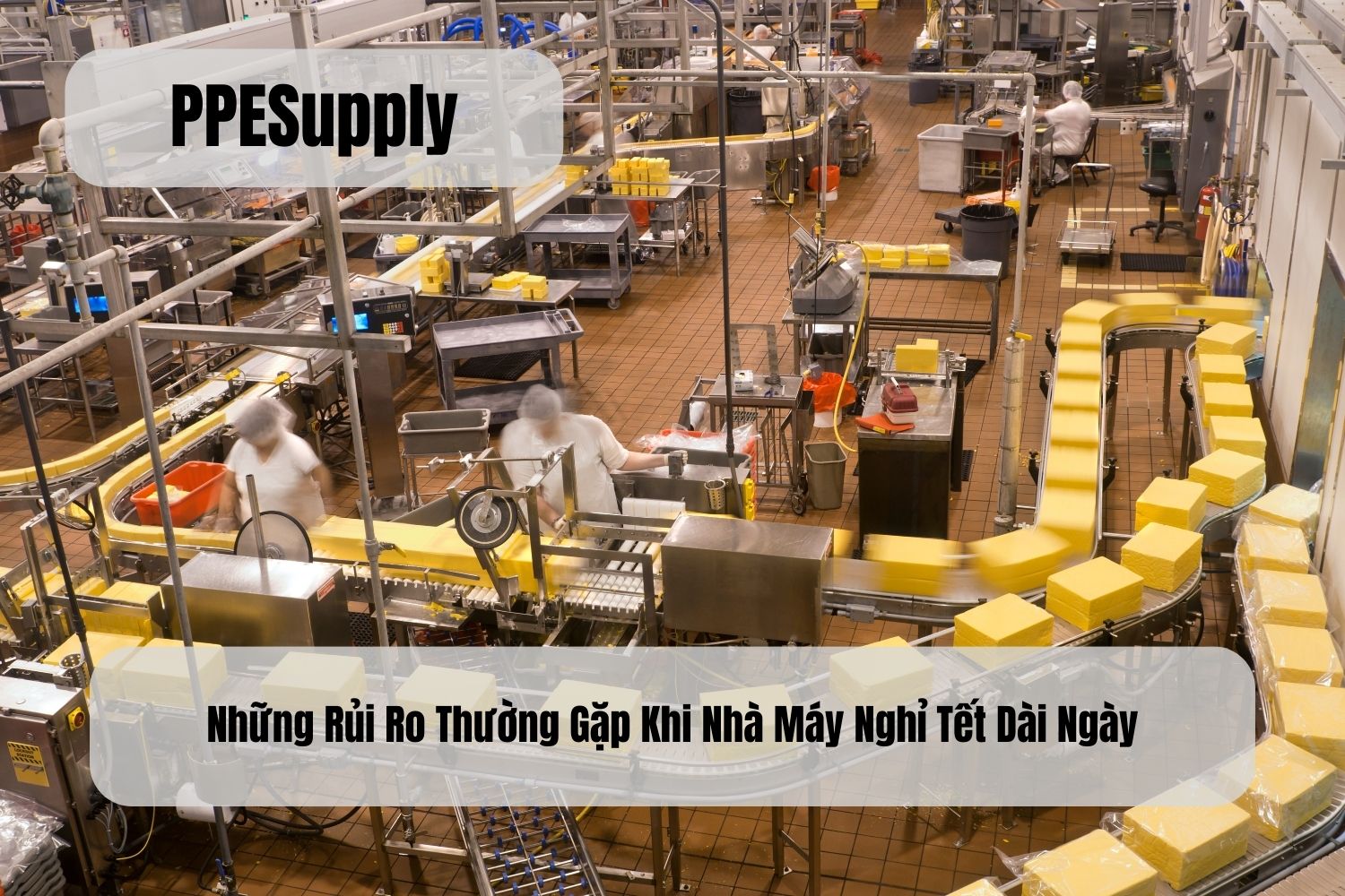 Những Rủi Ro Thường Gặp Khi Nhà Máy Nghỉ Tết Dài Ngày