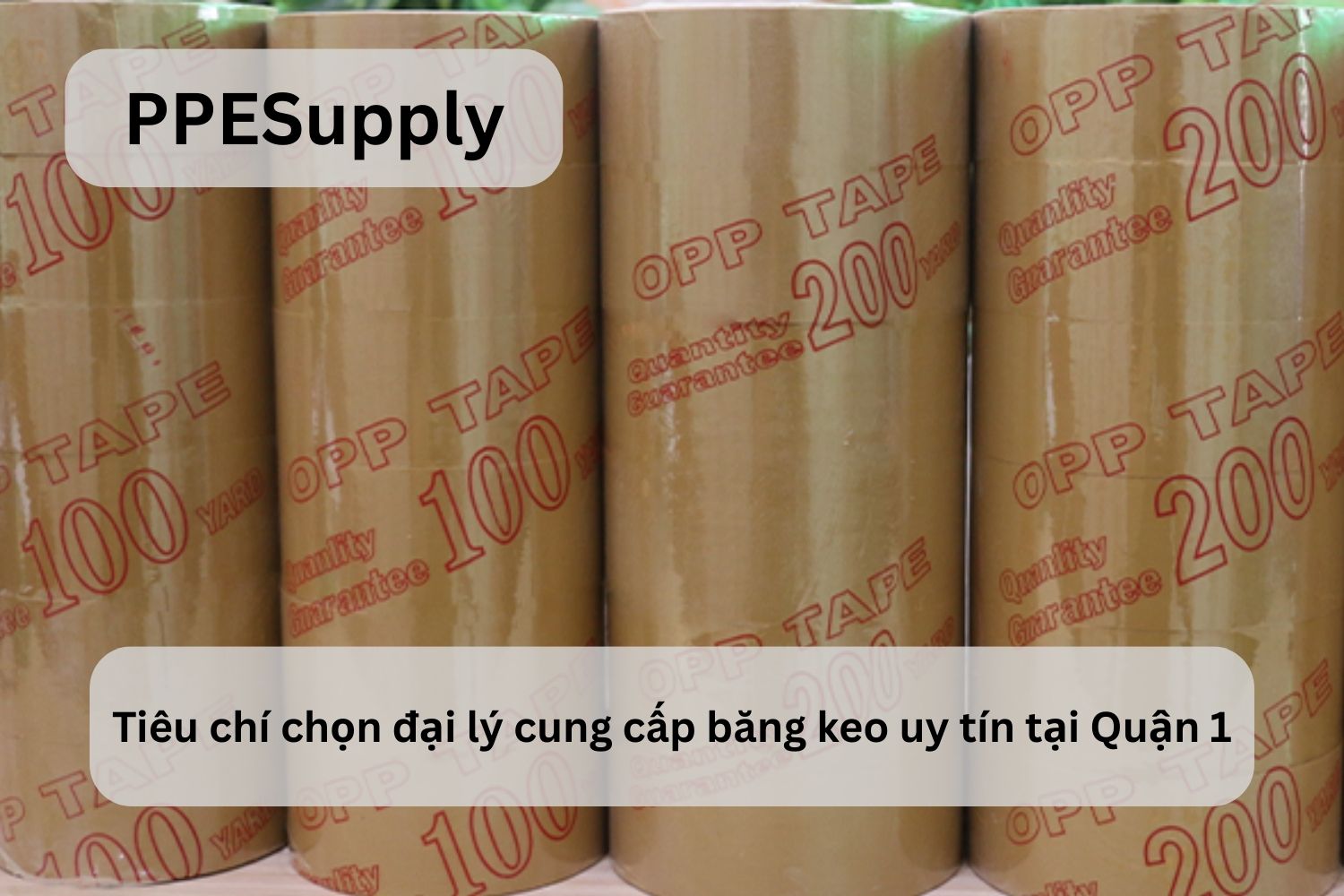 Tiêu chí chọn đại lý cung cấp băng keo uy tín tại Quận 1