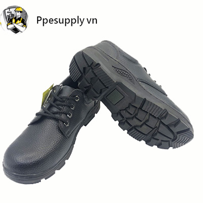 Giới thiệu về sản phẩm giày ABC