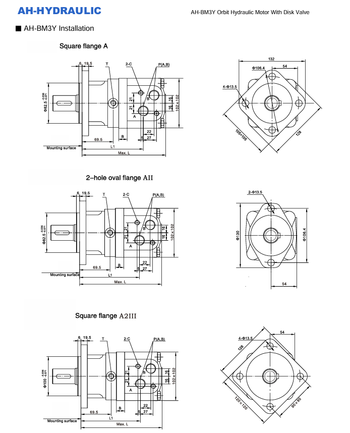 kich-thuoc-lap-dat-Motor-thuy-luc-BM3Y-500P10AY/T11/AH