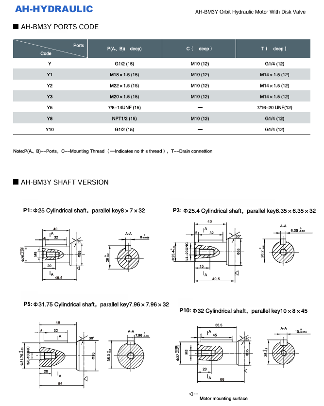 kich-thuoc-lap-dat-Motor-thuy-luc-BM3Y-500P10AY/T11/AH