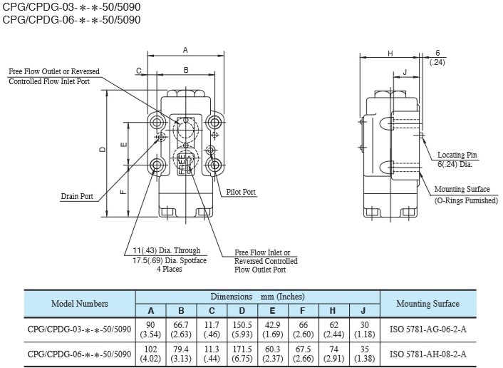 van-chong-lun-bat-bich-cpg-cpdg