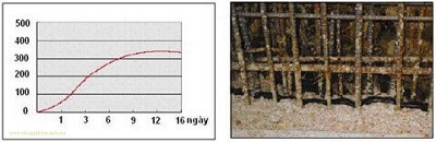 Biểu đồ trương nở Hyperstop db 2519