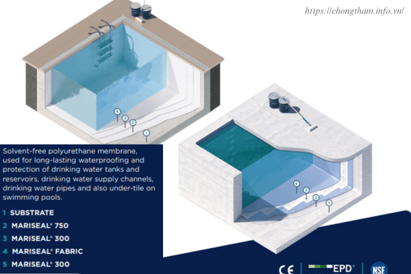 chống thấm bể bơi bằng mariseal 300