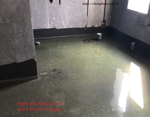 thử nước chống thấm nhà vệ sinh