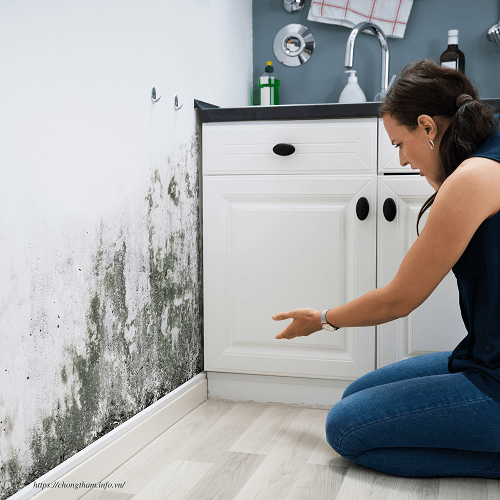 Thấm từ nhà vệ sinh ra chân tường gây ẩm mốc