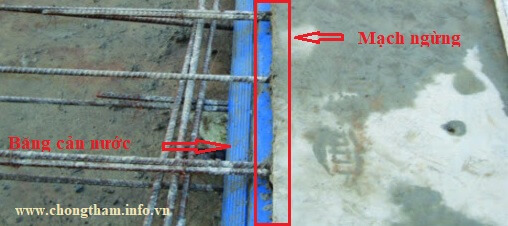 Vị trí đặt băng cản nước trong mạch ngừng bê tông