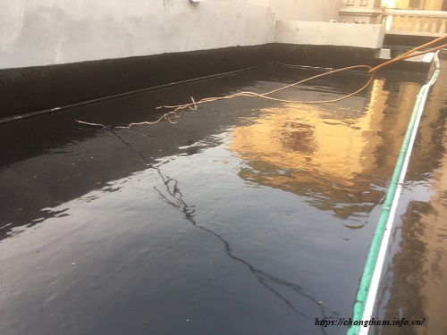 Thi công Maxbond 323C